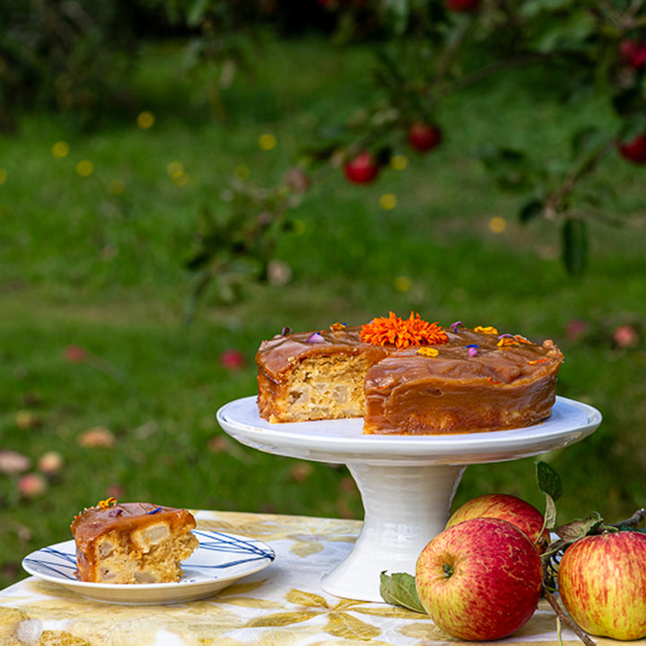 Apple cake in orchard